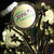 UPA AmeriCup Cheer & Dance Championship